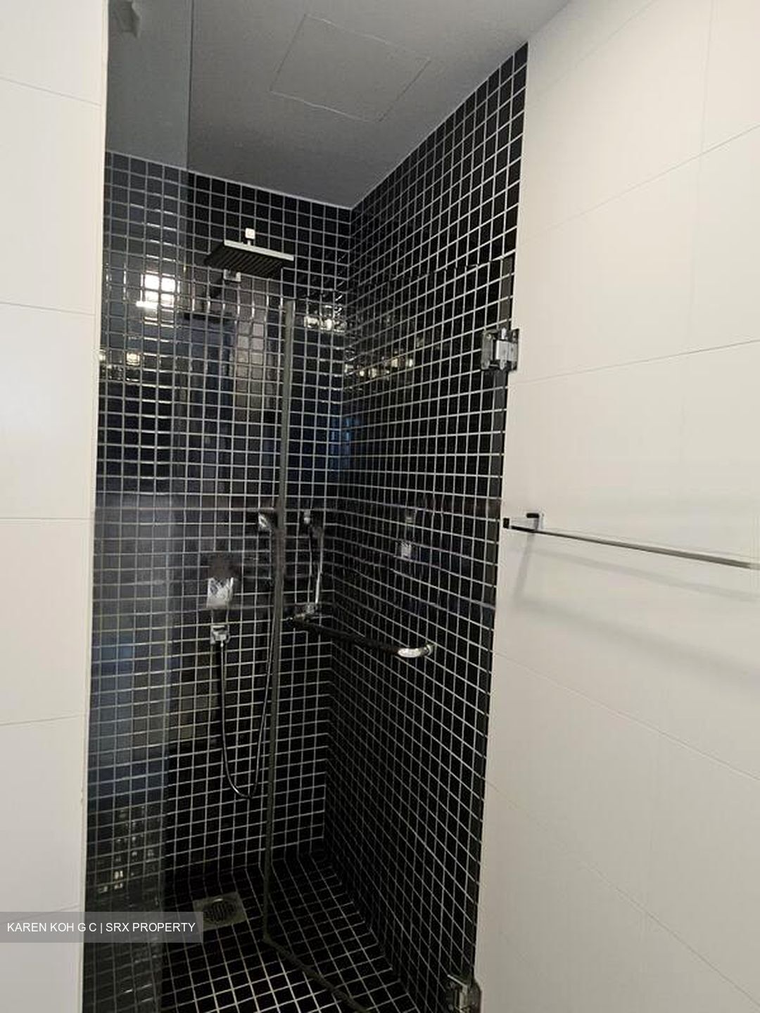 Ferraria Park Condominium (D17), Condominium #575372031